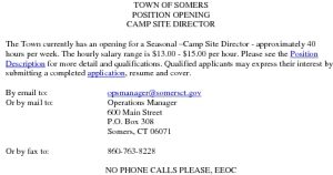 Icon of Camp Site Director Job Summary
